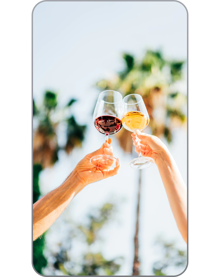 Create & Edit Instagram Reels

