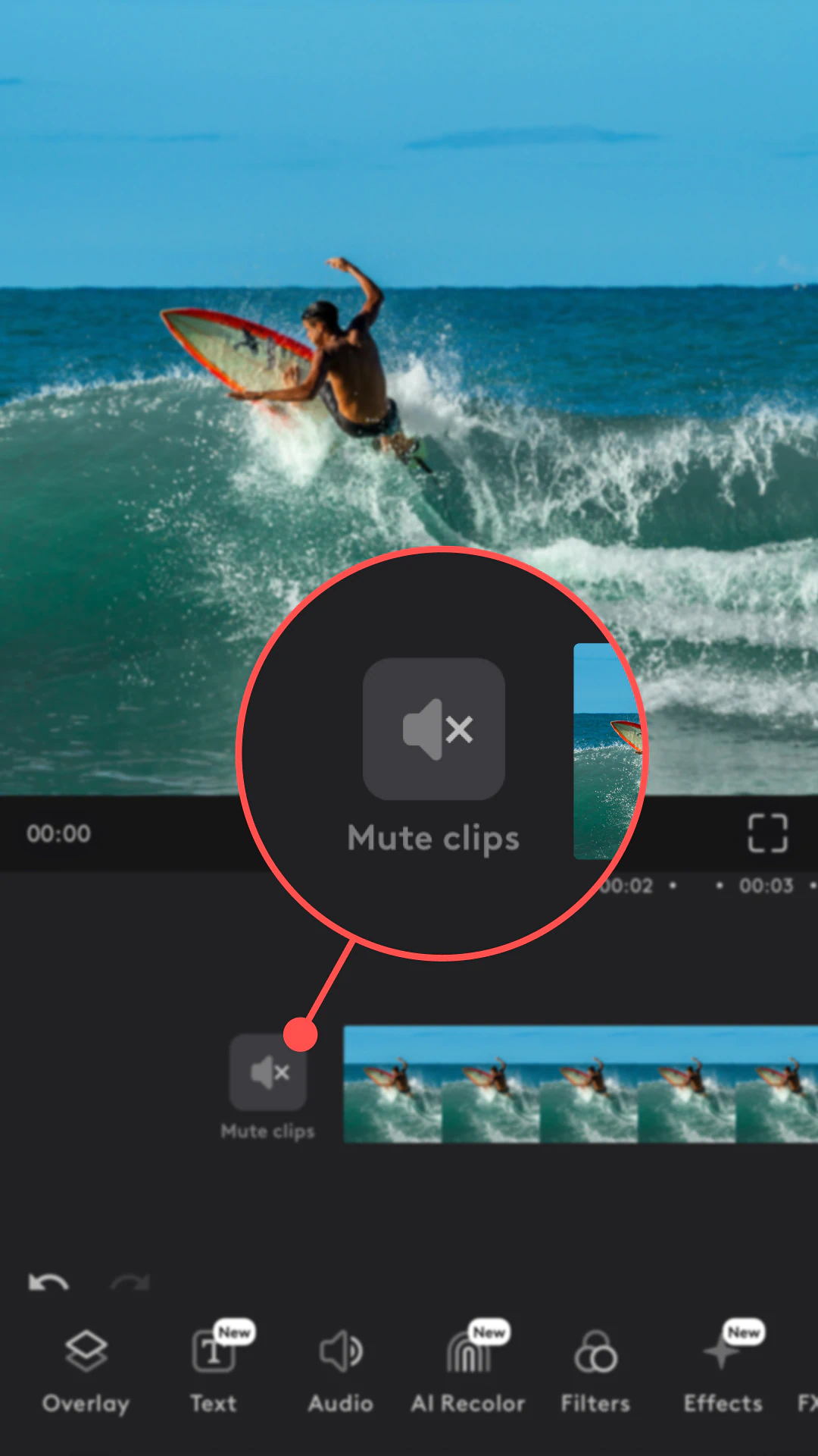 How to remove audio from video