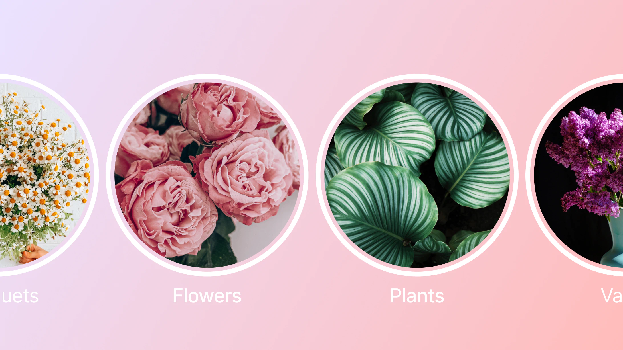 Instagram highlights categories for your profile